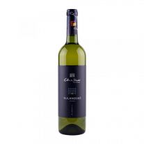 Chateau Modra Terroir Rulandské šedé, Slovensko, biele, akostné odrodové, suché, 0,75 l