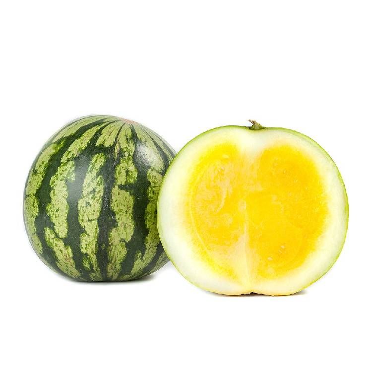 Dyňa vodová žltá bezjadierková l. / Wassermelonen gelb
