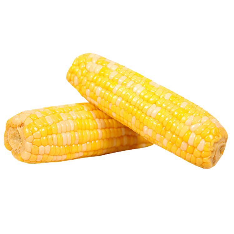 Kukurica predvarená v balení 2ks / mais gekocht