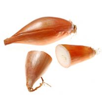 Cibuľa šalotka banánová balenie 250 g