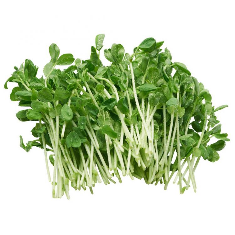 Hrachové klíčky balenie 100 g