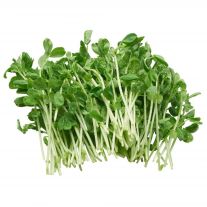 Hrachové klíčky balenie 100 g