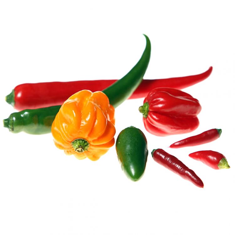 Chilli mix balenie 80 g (habanero, jalapeno a rawit)