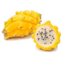 Pitahaya žltá veľká ks