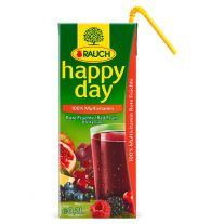 Rauch Happy Day 100% multivitamínová šťava s 8 vitamínmi 0,2 l