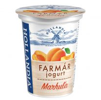 Hollandia Krémový jogurt Farmár marhuľa 125 g