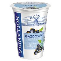 Hollandia Jogurt Gazdovský čierne ríbezle 200 g