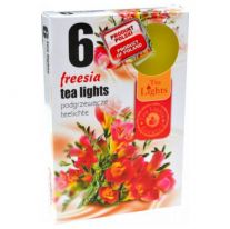 Čajové  sviečky, Tea Lights Frézia 6 ks