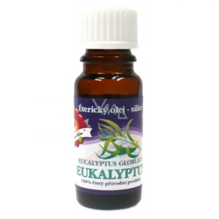 Vonný olej  Eukalyptus 10 ml