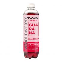 VIWA Vitality B vitamín guarana 600 ml 