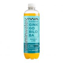 VIWA Brainboost C+B vitamín ZERO SUGAR ginkobiloba 600ml