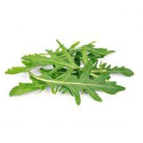 Šalát Rukola 100g / Ruccola Ts.