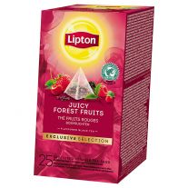 Lipton Forest Fruit Pyramid čaj 42 g