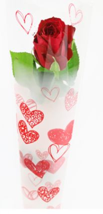 Ruža červená vo fólii 1ks