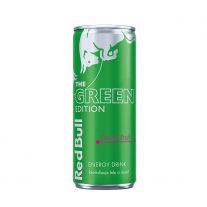 Red Bull Green Cactus 250 ml