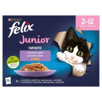 FELIX Fantastic Cat Junior Multipack hovädzie, kura, sardinky, losos v želé (12x85 g)