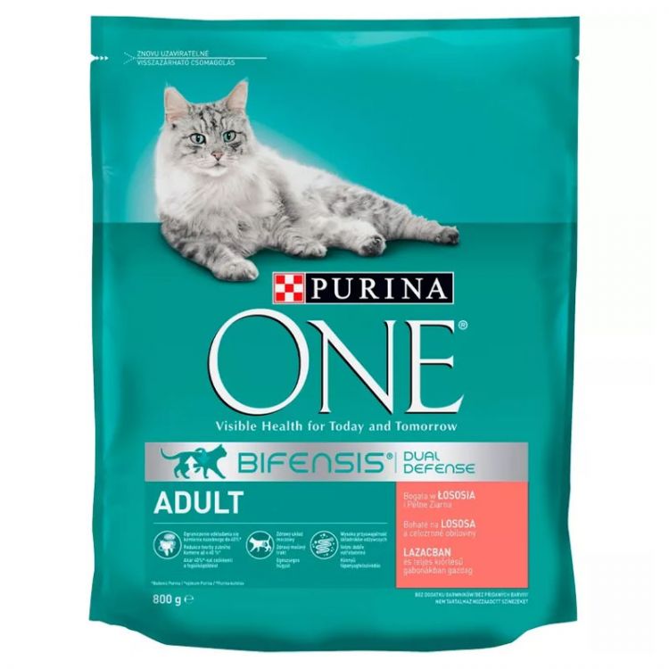 Purina ONE Cat Adult s lososom a celozrnnými obilninami 800 g