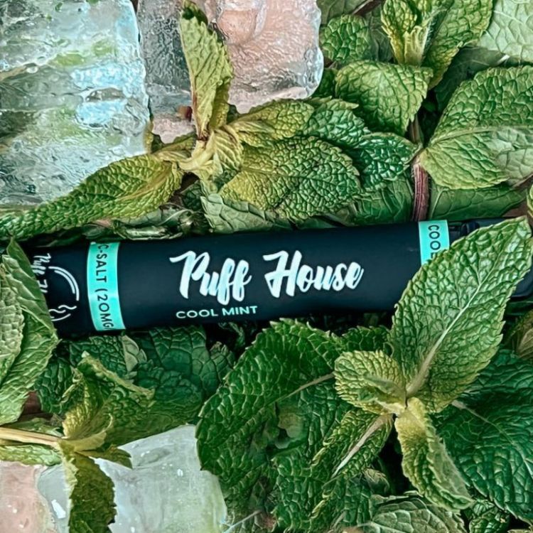 Puff House Cool Mint  Jednorázová e-cigareta,800+ potiahnnutí