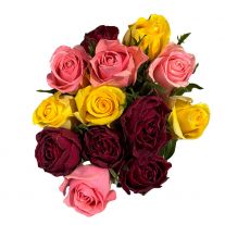 Kytica ruža ( 11ks )