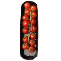 Paradajky cherry Čerinka 250g