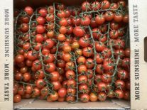 Paradajky cherry červené strapcove 3kg 