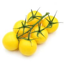 Paradajka žltá l. / Strauchtomaten gelb