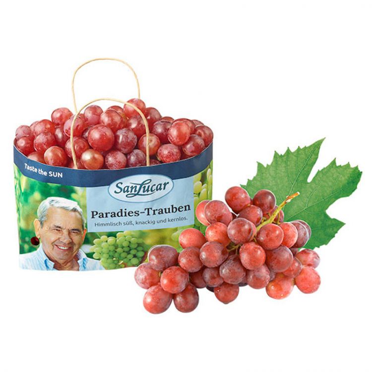 Hrozno cervene GIULIANO xl l. / Trauben rot