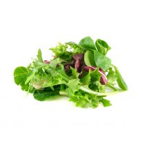BIO šalát mix 100g