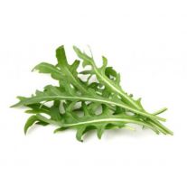 BIO šalát rukola 100g