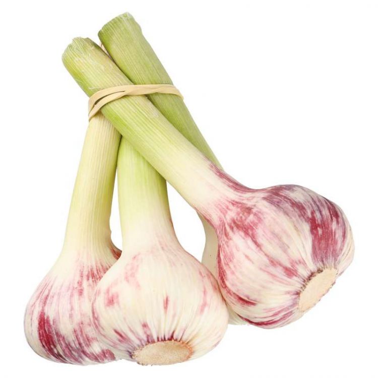 Cesnak čerstvý zväzok (3ks)