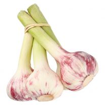 Cesnak čerstvý zväzok (3ks)