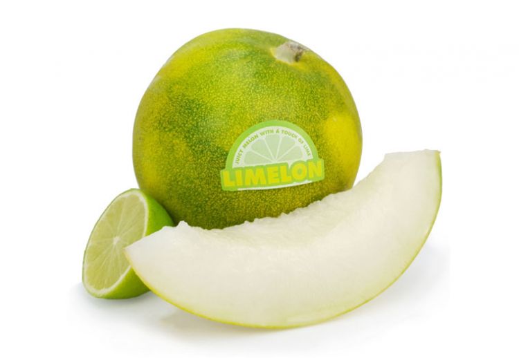 Melón Limelon l. / Zitronenmelonen