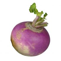 Kvaka ks / Steckruben ks