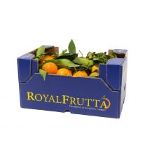 Mandarinky Clementine v bednićke 3,4kg