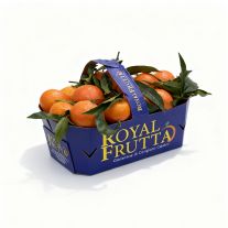 Mandarinky Clementine v krabićke 2,9 kg