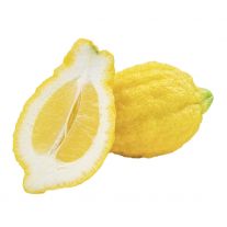 Citrón XXL Cedri ks l. / Zitronen Cedri