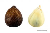 Salak ( hadie ovocie ) 1ks l.