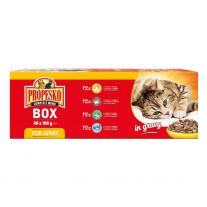 Propesko kapsička mačka Giga box 48x100 g - novinka