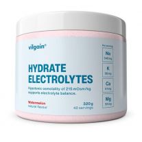 Vilgain Elektrolyty melón 320 g