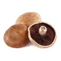 Šampiňon Portobello 1ks l.