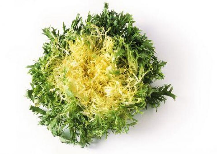 Šalát Frisse fein 1ks l.