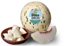 Melón Dino l. ks