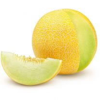 Melón žltý Galia 1ks l.