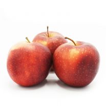 Jablká červené Gala 1ks 70+ I. / Apfel rot Gala gelegt