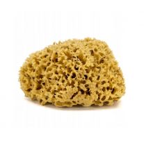 Špongia do kúpeľa z polyesteru (115 × H43)