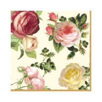 Obrúsky PAW L 33x33cm Rosalia Champagne