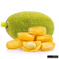 Jackfruit ks  l. ( Biggest fruit in world )