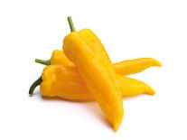 Paprika špicatá žltá l. / Spitzpaprika gelb