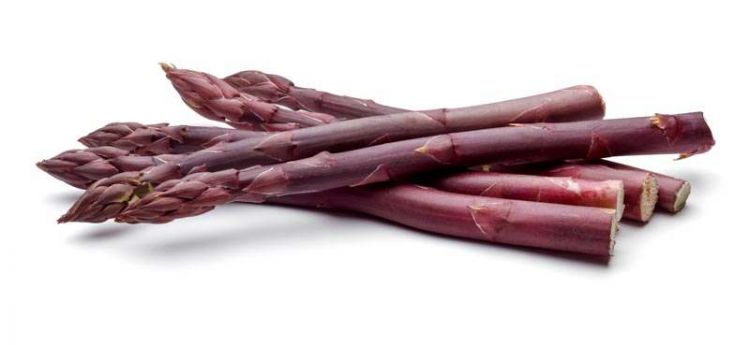 Špargla´fialová 500g
