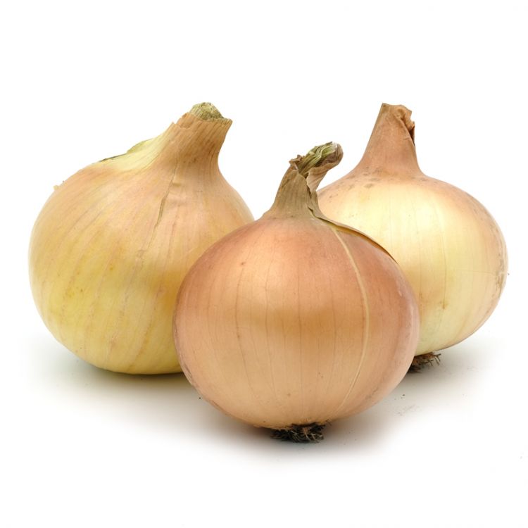 Cibuľa žltá sieť 50-70 1kg - eDELIA.sk